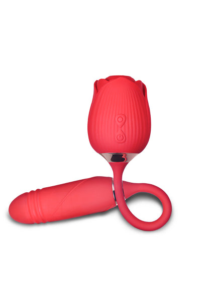 Stimulateur à va-et-vient et aspiration Blisslink - DIK