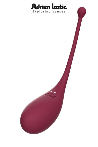 Oeuf vibrant et stimulateur clitoridien connectés Inspiration